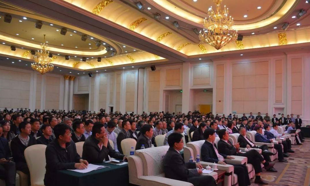 63fc31ec-3632-41fb-9e0d-d79a48d1e13c.jpg